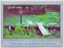 the florida trail.jpg